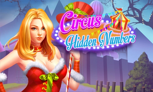 Circus Hidden Numbers