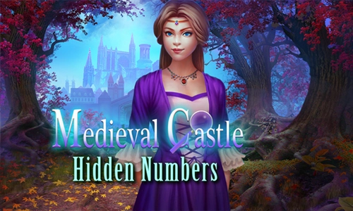 Medieval Castle Hidden Numbers